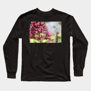 Honey Bees & Pink / Swiss Artwork Photography Long Sleeve T-Shirt